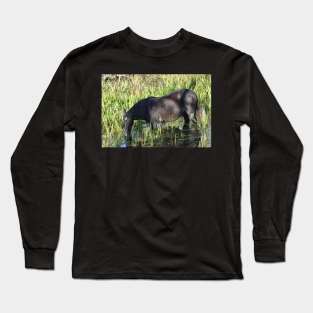 Wild Horse Long Sleeve T-Shirt